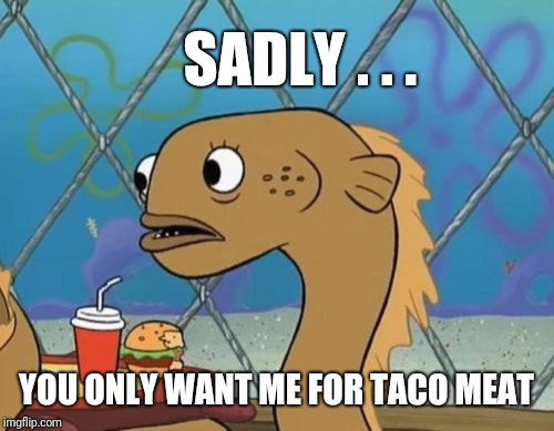 Tastes like eel... | SADLY . . . YOU ONLY WANT ME FOR TACO MEAT | image tagged in memes,sadly i am only an eel,tacos,meat,krabby patty,bad joke eel | made w/ Imgflip meme maker