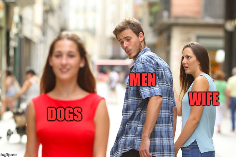 Distracted Boyfriend Meme | MEN; WIFE; DOGS | image tagged in memes,distracted boyfriend | made w/ Imgflip meme maker