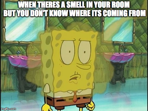 Bad breath spongebob | WHEN THERES A SMELL IN YOUR ROOM BUT YOU DON'T KNOW WHERE ITS COMING FROM | image tagged in bad breath spongebob | made w/ Imgflip meme maker