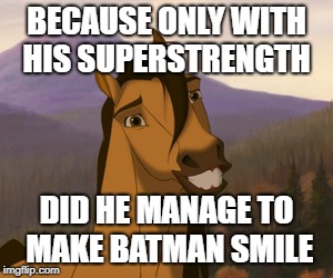 Awkwardly Smiling Spirit | BECAUSE ONLY WITH HIS SUPERSTRENGTH DID HE MANAGE TO MAKE BATMAN SMILE | image tagged in awkwardly smiling spirit | made w/ Imgflip meme maker
