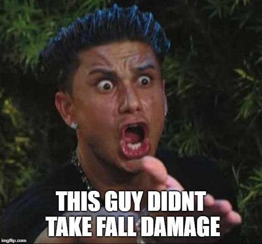 DJ Pauly D | THIS GUY DIDNT TAKE FALL DAMAGE | image tagged in memes,dj pauly d | made w/ Imgflip meme maker