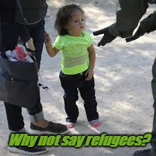 refugees | Why not say refugees? | image tagged in memes | made w/ Imgflip meme maker