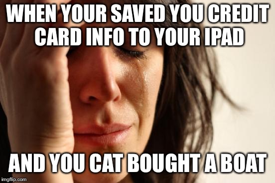 First World Problems | WHEN YOUR SAVED YOU CREDIT CARD INFO TO YOUR IPAD; AND YOU CAT BOUGHT A BOAT | image tagged in memes,first world problems | made w/ Imgflip meme maker