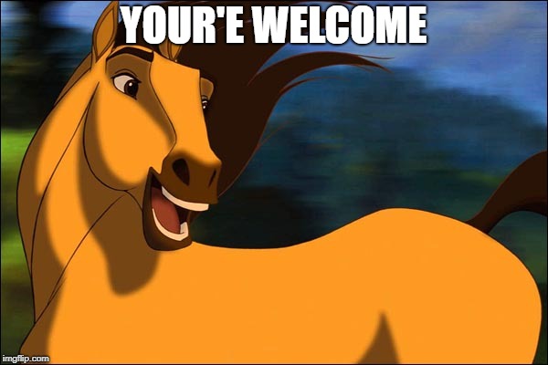 Spirit | YOUR'E WELCOME | image tagged in spirit | made w/ Imgflip meme maker