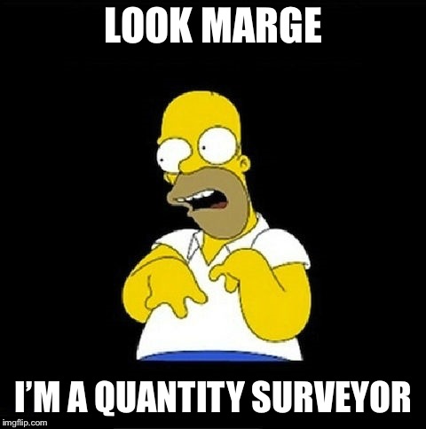Homer Simpson Retarded | LOOK MARGE; I’M A QUANTITY SURVEYOR | image tagged in homer simpson retarded | made w/ Imgflip meme maker