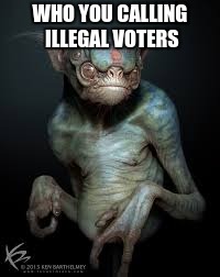 WHO YOU CALLING ILLEGAL VOTERS | made w/ Imgflip meme maker