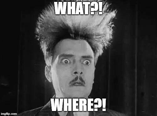 reaction | WHAT?! WHERE?! | image tagged in reaction | made w/ Imgflip meme maker