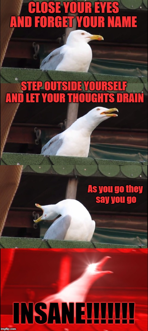 Inhaling Seagull Meme | CLOSE YOUR EYES AND FORGET YOUR NAME; STEP OUTSIDE YOURSELF AND LET YOUR THOUGHTS DRAIN; As you go they say you go; INSANE!!!!!!! | image tagged in memes,inhaling seagull | made w/ Imgflip meme maker