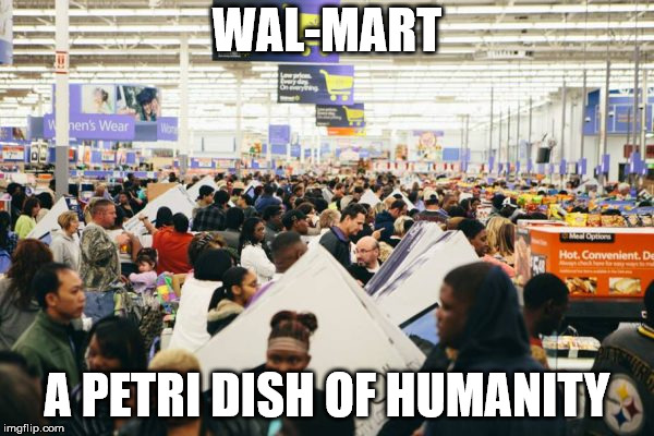 petri dish | WAL-MART; A PETRI DISH OF HUMANITY | image tagged in walmart,science | made w/ Imgflip meme maker