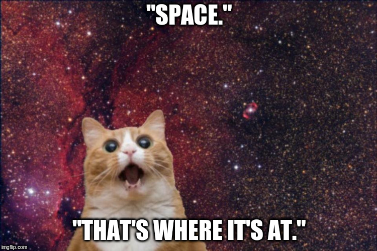 Space Cat | "SPACE."; "THAT'S WHERE IT'S AT." | image tagged in space cat | made w/ Imgflip meme maker