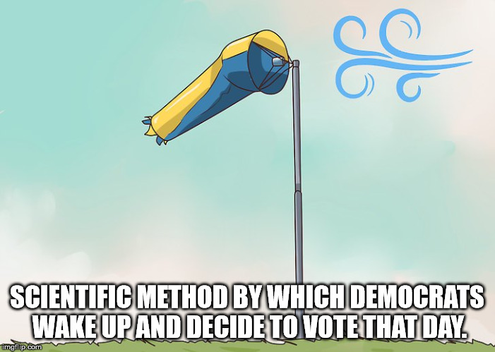 It's whatever way the wind is blowing that day, so that they might get re-elected the next..  | SCIENTIFIC METHOD BY WHICH DEMOCRATS WAKE UP AND DECIDE TO VOTE THAT DAY. | image tagged in democrats,wind sock,politics,decision making | made w/ Imgflip meme maker