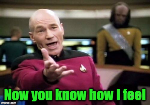 Picard Wtf Meme | Now you know how I feel | image tagged in memes,picard wtf | made w/ Imgflip meme maker