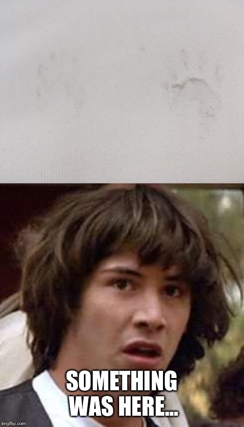 Raccoon? | SOMETHING WAS HERE... | image tagged in conspiracy keanu | made w/ Imgflip meme maker