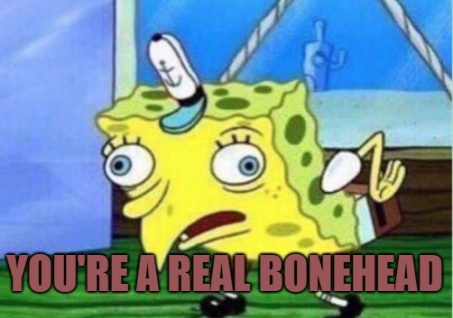 Mocking Spongebob Meme | YOU'RE A REAL BONEHEAD | image tagged in memes,mocking spongebob | made w/ Imgflip meme maker