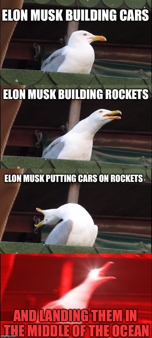Inhaling Seagull Meme | ELON MUSK BUILDING CARS; ELON MUSK BUILDING ROCKETS; ELON MUSK PUTTING CARS ON ROCKETS; AND LANDING THEM IN THE MIDDLE OF THE OCEAN | image tagged in memes,inhaling seagull | made w/ Imgflip meme maker
