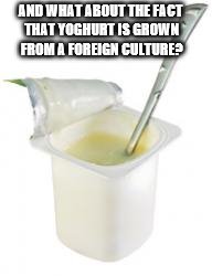 AND WHAT ABOUT THE FACT THAT YOGHURT IS GROWN FROM A FOREIGN CULTURE? | made w/ Imgflip meme maker