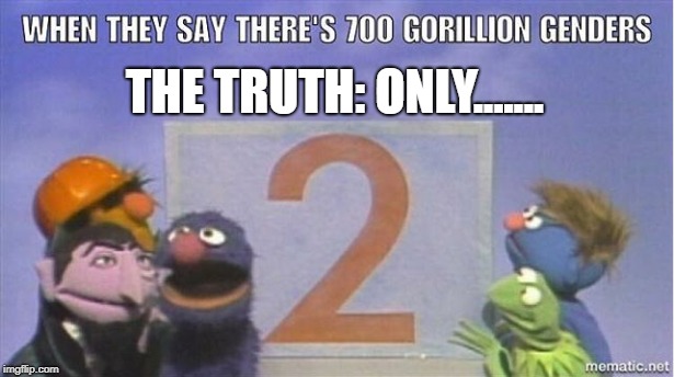 THE TRUTH: ONLY....... | image tagged in 2 genders | made w/ Imgflip meme maker