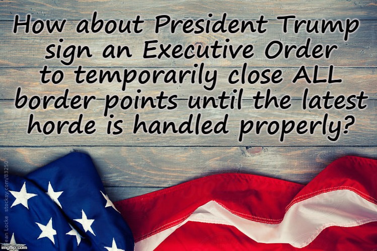 E.O. to close borders | How about President Trump sign an Executive Order to temporarily close ALL border points until the latest horde is handled properly? | image tagged in illegal aliens,democrats,liberals | made w/ Imgflip meme maker