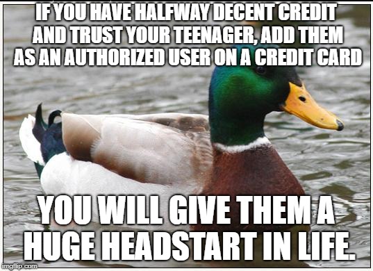 Actual Advice Mallard Meme | IF YOU HAVE HALFWAY DECENT CREDIT AND TRUST YOUR TEENAGER, ADD THEM AS AN AUTHORIZED USER ON A CREDIT CARD; YOU WILL GIVE THEM A HUGE HEADSTART IN LIFE. | image tagged in memes,actual advice mallard | made w/ Imgflip meme maker