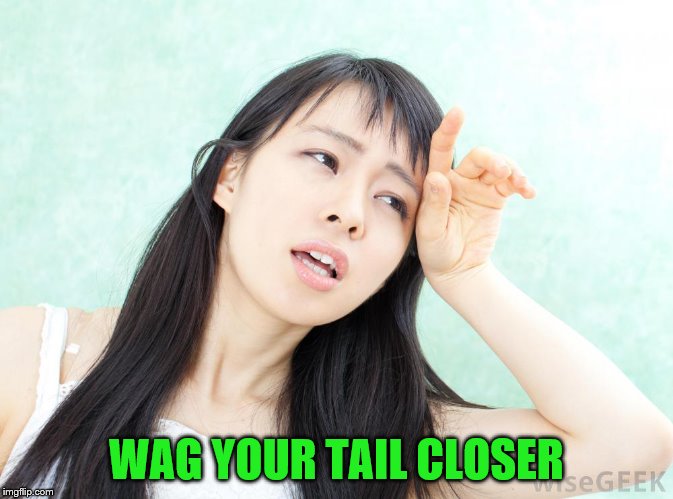 WAG YOUR TAIL CLOSER | made w/ Imgflip meme maker