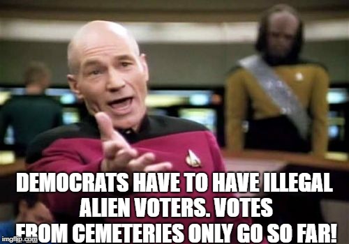 Picard Wtf Meme | DEMOCRATS HAVE TO HAVE ILLEGAL ALIEN VOTERS. VOTES FROM CEMETERIES ONLY GO SO FAR! | image tagged in memes,picard wtf | made w/ Imgflip meme maker