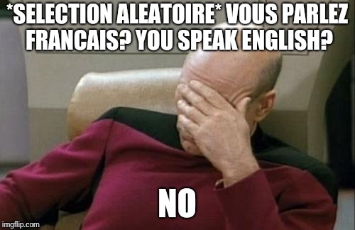 Captain Picard Facepalm | *SELECTION ALEATOIRE* VOUS PARLEZ FRANCAIS? YOU SPEAK ENGLISH? NO | image tagged in memes,captain picard facepalm | made w/ Imgflip meme maker