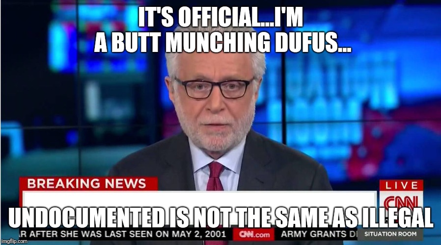 CNN "Wolf of Fake News" Fanfiction | IT'S OFFICIAL...I'M A BUTT MUNCHING DUFUS... UNDOCUMENTED IS NOT THE SAME AS ILLEGAL | image tagged in cnn wolf of fake news fanfiction | made w/ Imgflip meme maker
