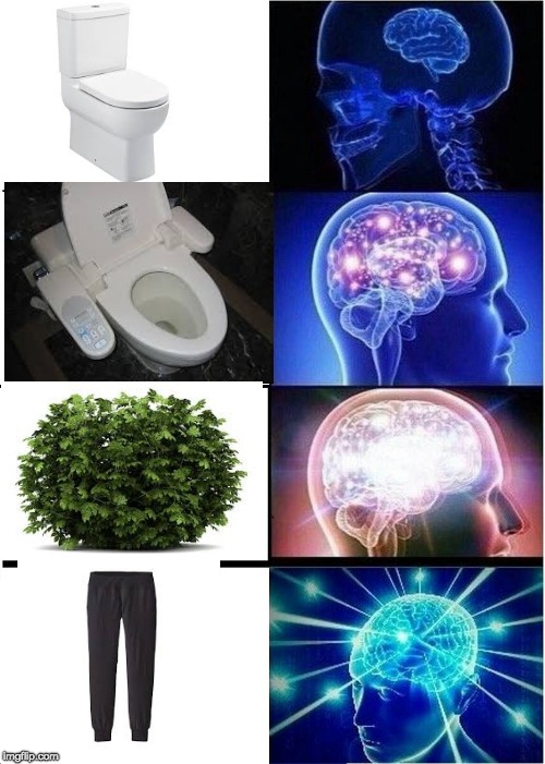 how to poop and where to do it | image tagged in expanding brain,memes,poop,toilet humor | made w/ Imgflip meme maker