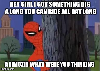spiderman tree | HEY GIRL I GOT SOMETHING BIG A LONG YOU CAN RIDE ALL DAY LONG; A LIMOZIN WHAT WERE YOU THINKING | image tagged in spiderman tree | made w/ Imgflip meme maker