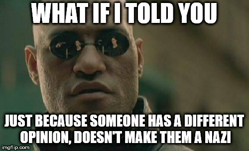 Matrix Morpheus Meme | WHAT IF I TOLD YOU; JUST BECAUSE SOMEONE HAS A DIFFERENT OPINION, DOESN'T MAKE THEM A NAZI | image tagged in memes,matrix morpheus | made w/ Imgflip meme maker