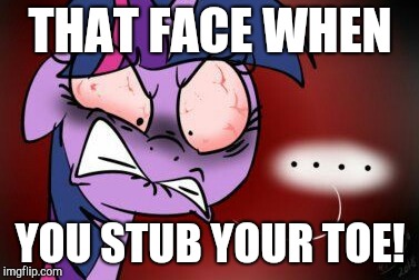 Ouch that hurts! | THAT FACE WHEN; YOU STUB YOUR TOE! | image tagged in memes,my little pony,angry twilight,that face when,stub your toe | made w/ Imgflip meme maker