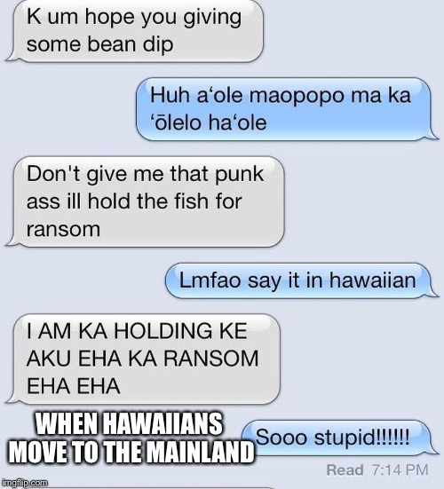 WHEN HAWAIIANS MOVE TO THE MAINLAND | image tagged in hawaiian | made w/ Imgflip meme maker