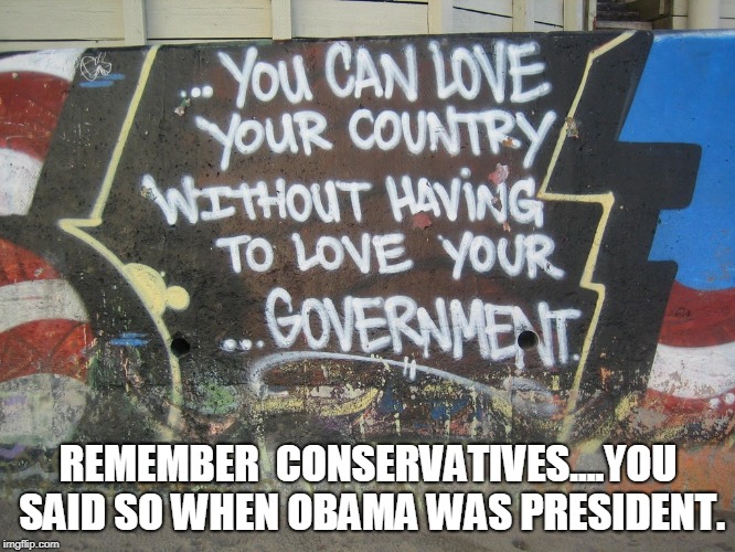 What's good for the goose.... | REMEMBER  CONSERVATIVES....YOU SAID SO WHEN OBAMA WAS PRESIDENT. | image tagged in patriots | made w/ Imgflip meme maker
