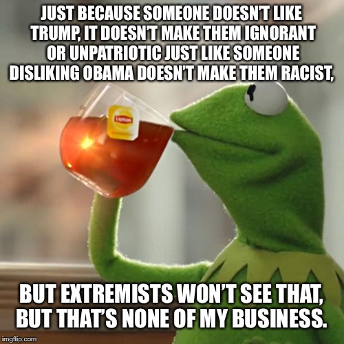 But That's None Of My Business Meme | JUST BECAUSE SOMEONE DOESN’T LIKE TRUMP, IT DOESN’T MAKE THEM IGNORANT OR UNPATRIOTIC JUST LIKE SOMEONE DISLIKING OBAMA DOESN’T MAKE THEM RACIST, BUT EXTREMISTS WON’T SEE THAT, BUT THAT’S NONE OF MY BUSINESS. | image tagged in memes,but thats none of my business,kermit the frog | made w/ Imgflip meme maker