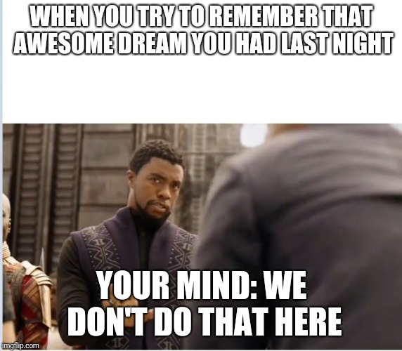 We don't do that here | WHEN YOU TRY TO REMEMBER THAT AWESOME DREAM YOU HAD LAST NIGHT; YOUR MIND: WE DON'T DO THAT HERE | image tagged in we don't do that here | made w/ Imgflip meme maker
