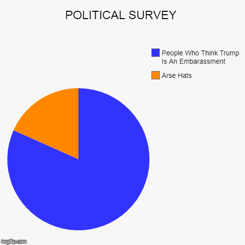 POLITICAL SURVEY | Arse Hats, People Who Think Trump Is An Embarassment | image tagged in funny,pie charts | made w/ Imgflip chart maker