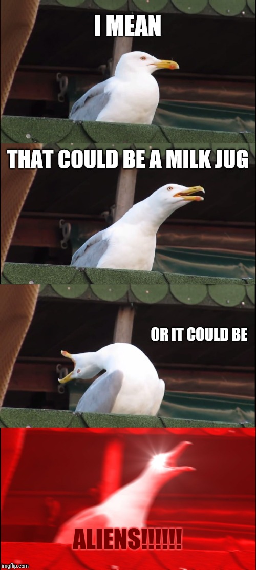 Inhaling Seagull Meme | I MEAN THAT COULD BE A MILK JUG OR IT COULD BE ALIENS!!!!!! | image tagged in memes,inhaling seagull | made w/ Imgflip meme maker