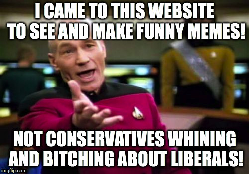 Picard Wtf Meme | I CAME TO THIS WEBSITE TO SEE AND MAKE FUNNY MEMES! NOT CONSERVATIVES WHINING AND B**CHING ABOUT LIBERALS! | image tagged in memes,picard wtf | made w/ Imgflip meme maker