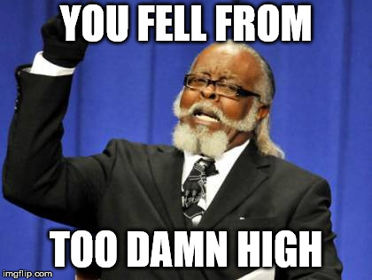Too Damn High Meme | YOU FELL FROM TOO DAMN HIGH | image tagged in memes,too damn high | made w/ Imgflip meme maker