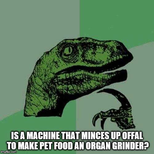 Philosoraptor Meme | IS A MACHINE THAT MINCES UP OFFAL TO MAKE PET FOOD AN ORGAN GRINDER? | image tagged in memes,philosoraptor | made w/ Imgflip meme maker
