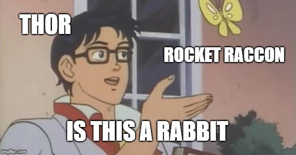 Is This a Pigeon | THOR; ROCKET RACCON; IS THIS A RABBIT | image tagged in is this a pigeon | made w/ Imgflip meme maker