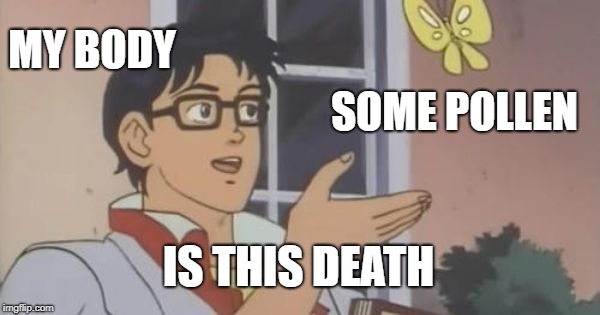 Is This a Pigeon | MY BODY; SOME POLLEN; IS THIS DEATH | image tagged in is this a pigeon | made w/ Imgflip meme maker