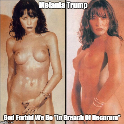 Melania Trump God Forbid We Be "In Breach Of Decorum" | made w/ Imgflip meme maker