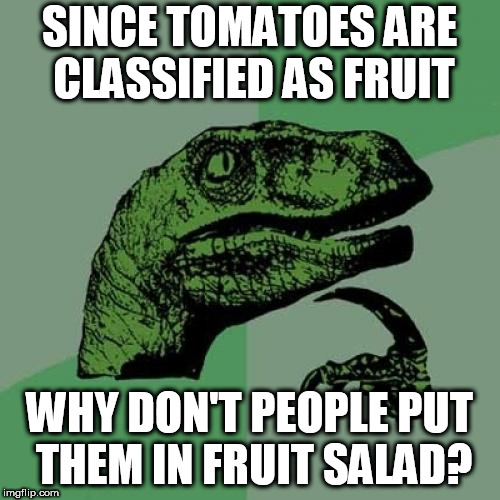 Philosoraptor | SINCE TOMATOES ARE CLASSIFIED AS FRUIT; WHY DON'T PEOPLE PUT THEM IN FRUIT SALAD? | image tagged in memes,philosoraptor,fruit | made w/ Imgflip meme maker
