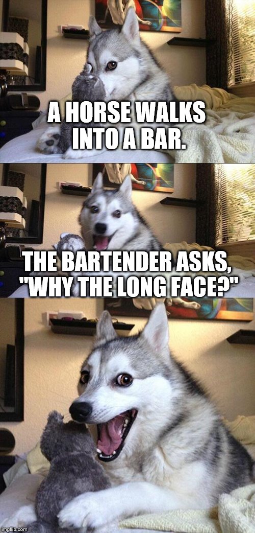 Bad Pun Dog Meme | A HORSE WALKS INTO A BAR. THE BARTENDER ASKS, "WHY THE LONG FACE?" | image tagged in memes,bad pun dog | made w/ Imgflip meme maker