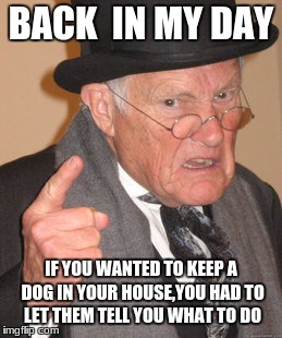 Back In My Day Meme | BACK  IN MY DAY; IF YOU WANTED TO KEEP A DOG IN YOUR HOUSE,YOU HAD TO LET THEM TELL YOU WHAT TO DO | image tagged in memes,back in my day | made w/ Imgflip meme maker