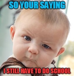 Skeptical Baby Meme | SO YOUR SAYING; I STILL HAVE TO DO SCHOOL | image tagged in memes,skeptical baby | made w/ Imgflip meme maker