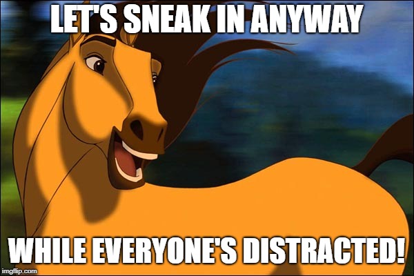 Spirit | LET'S SNEAK IN ANYWAY WHILE EVERYONE'S DISTRACTED! | image tagged in spirit | made w/ Imgflip meme maker