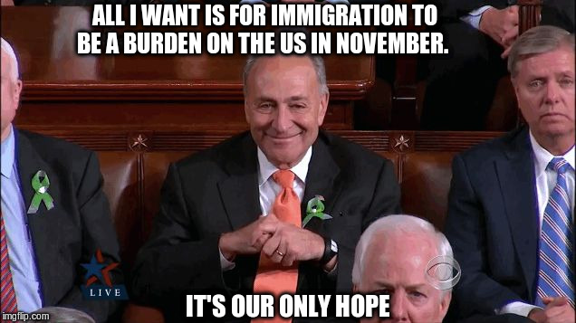 Chuck Schumer Creepy | ALL I WANT IS FOR IMMIGRATION TO BE A BURDEN ON THE US IN NOVEMBER. IT'S OUR ONLY HOPE | image tagged in chuck schumer creepy | made w/ Imgflip meme maker