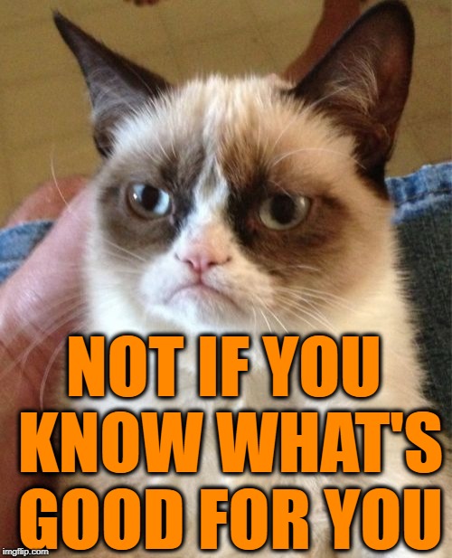 Grumpy Cat Meme | NOT IF YOU KNOW WHAT'S GOOD FOR YOU | image tagged in memes,grumpy cat | made w/ Imgflip meme maker